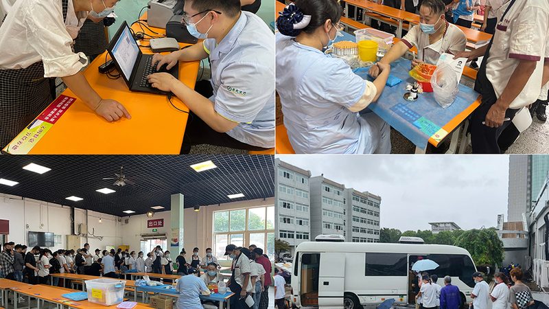 婚前体检报告不合格？了解流程，安心备孕